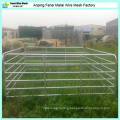 Cattle Panels for Australia Farm (Direct Factory/Manufacturer)